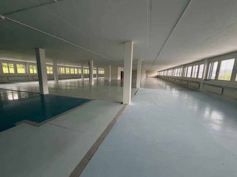 Chemin de la Combeta 3-5 - Bel immeuble représentatif pour bureaux, artisanat, industrie légère (6)