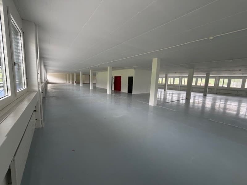 Chemin de la Combeta 3-5 - Bel immeuble représentatif pour bureaux, artisanat, industrie légère (5)