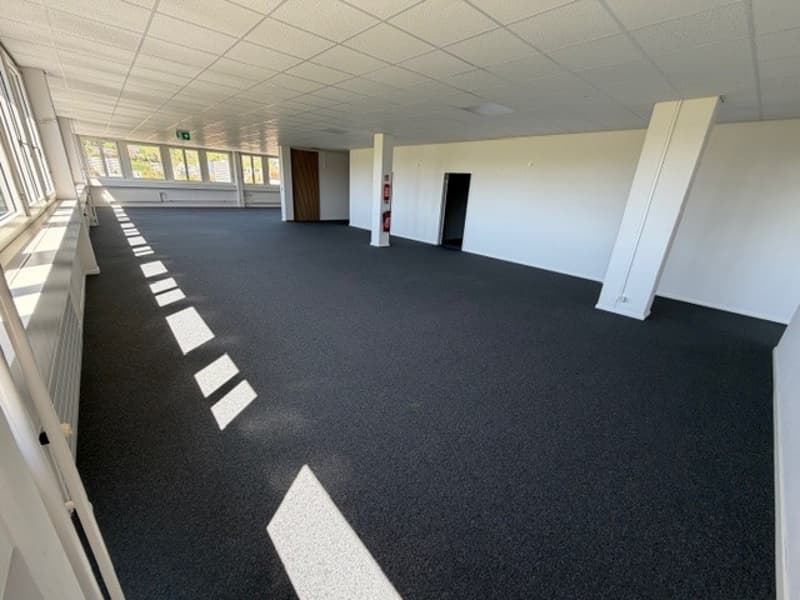 Surface idéale pour bureau - Bel immeuble représentatif pour bureaux, artisanat, industrie légère (3)