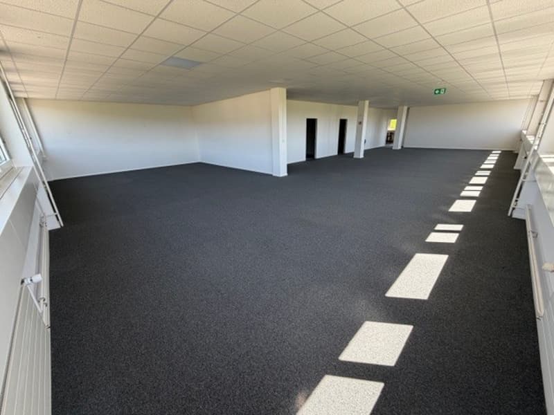 Surface idéale pour bureau - Bel immeuble représentatif pour bureaux, artisanat, industrie légère (2)