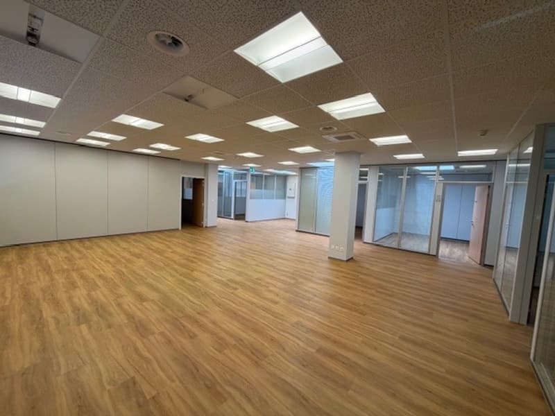 Chemin de la Combeta 5 - Bel immeuble représentatif pour bureaux, artisanat, industrie légère (6)
