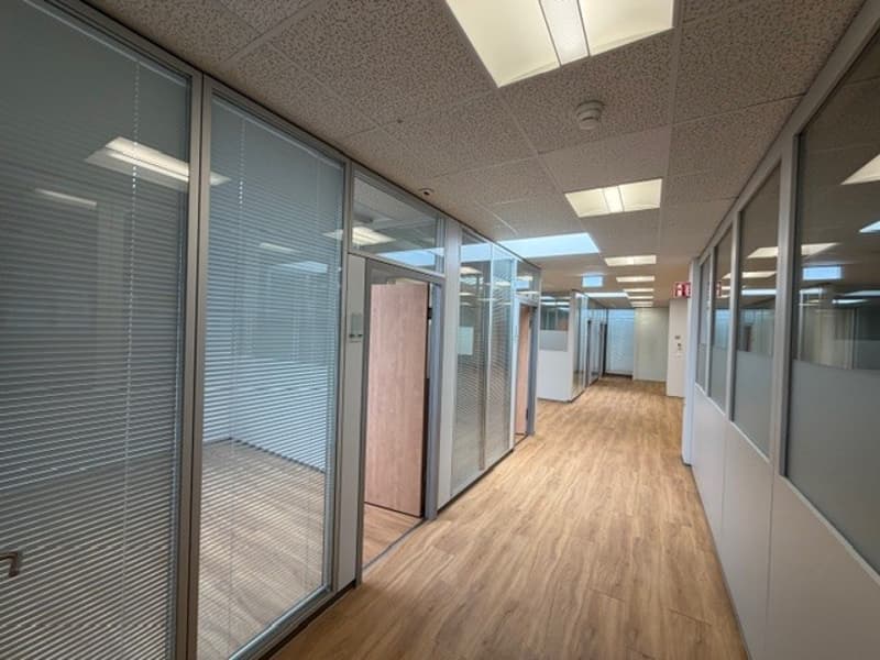 Chemin de la Combeta 5 - Bel immeuble représentatif pour bureaux, artisanat, industrie légère (7)
