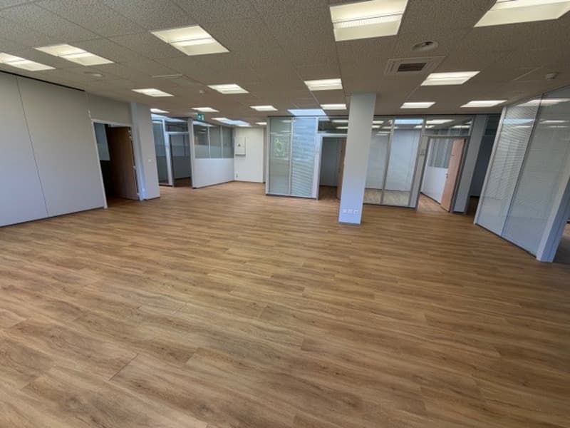 Chemin de la Combeta 5 - Bel immeuble représentatif pour bureaux, artisanat, industrie légère (2)