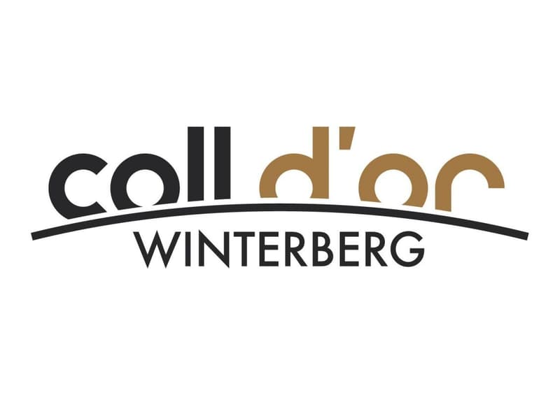 Neubauprojekt "Coll d'Or" - Rohbaubesichtigung möglich (8)