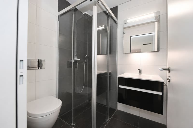 Exklusive 3.5-Zimmer-Wohnung auf Eigentumsstandard in Zürich-Schwamendingen (5)