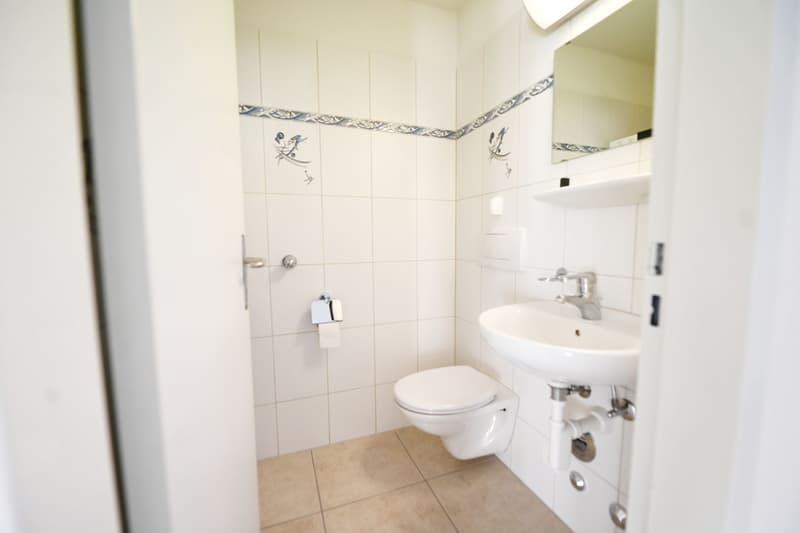 Licht, Luft und Lebensqualität – Ihr neues Zuhause in Gossau ZH (7)