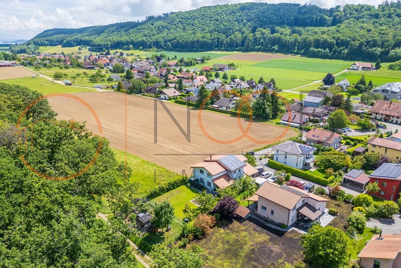 Villa à vendre dans le Seeland | homegate.ch