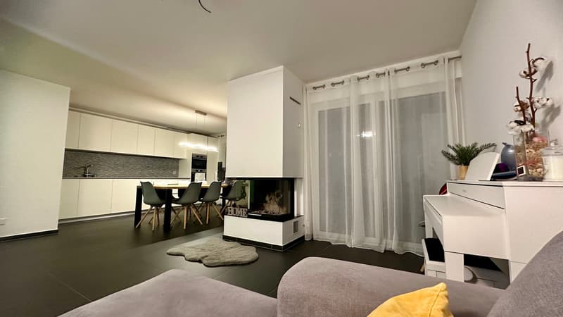 Centre-ville, appartement au rez avec te..., Rue de Condémines, CHF 799000 | homegate.ch