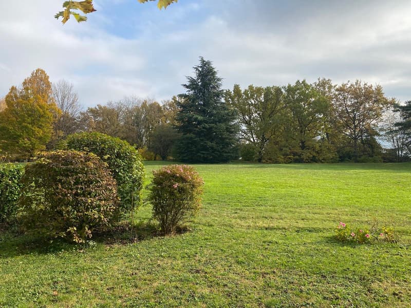 Rez de jardin sans vis à vis à Cologny, La Planta - Cologny, CHF 1525000 | homegate.ch