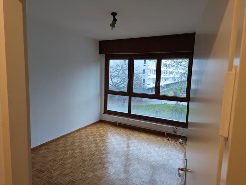Rue de la Prulay, 1217 Meyrin