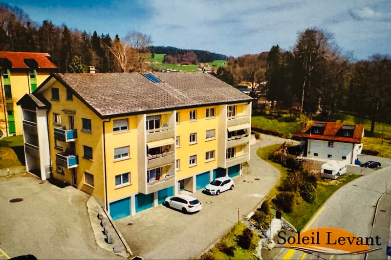 Appartement 2,5p entièrement rénové à ne..., La Verrerie, CHF 355000 | homegate.ch