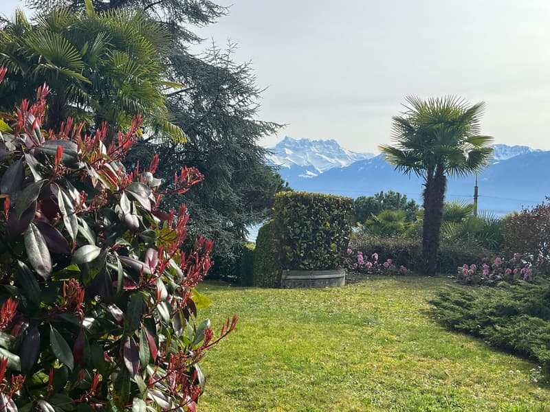 Apparemment 2.5 Pièces à vendre à Montre..., Rue du Lac 22, CHF 750 | homegate.ch