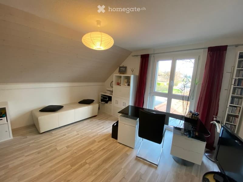Attique duplex sans vis-à-vis avec garage et place de parc (5)