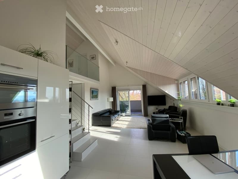 Attique duplex sans vis-à-vis avec garage et place de parc (1)