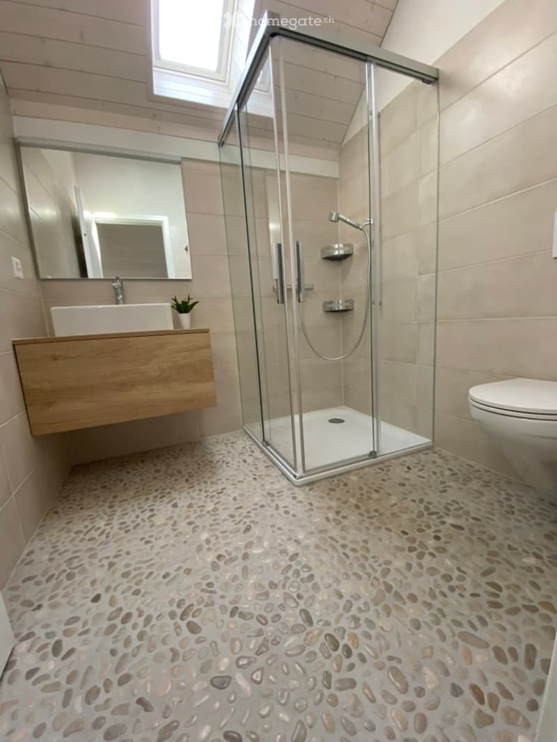Attique duplex sans vis-à-vis avec garage et place de parc (4)