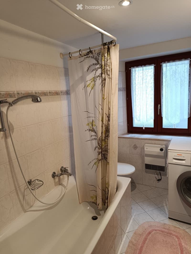 Appartamento 2 locali - Intragna (4)