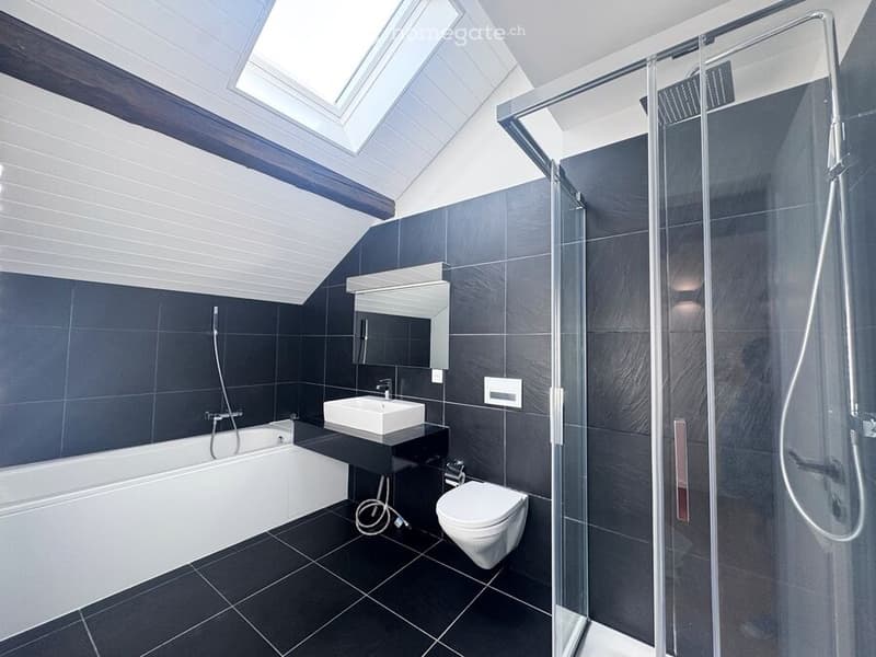Magnifique duplex de 5,5 pièces hauts de Blonay (4)