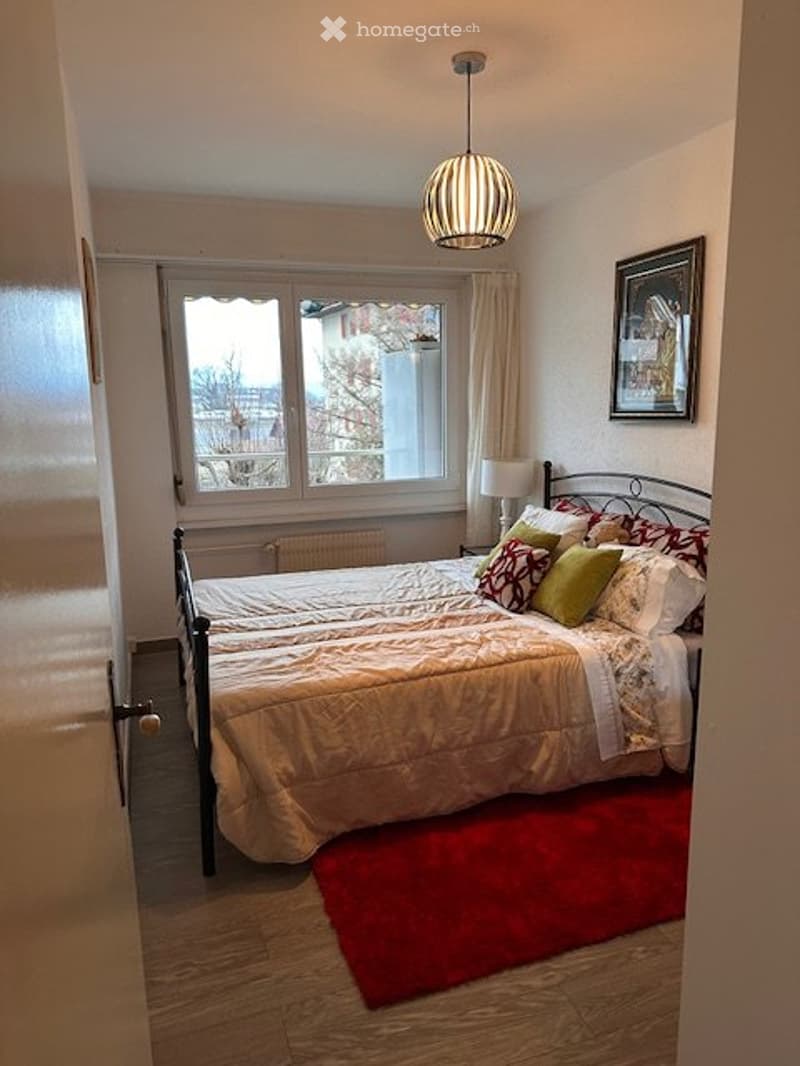 A vendre appartement rénové (4)