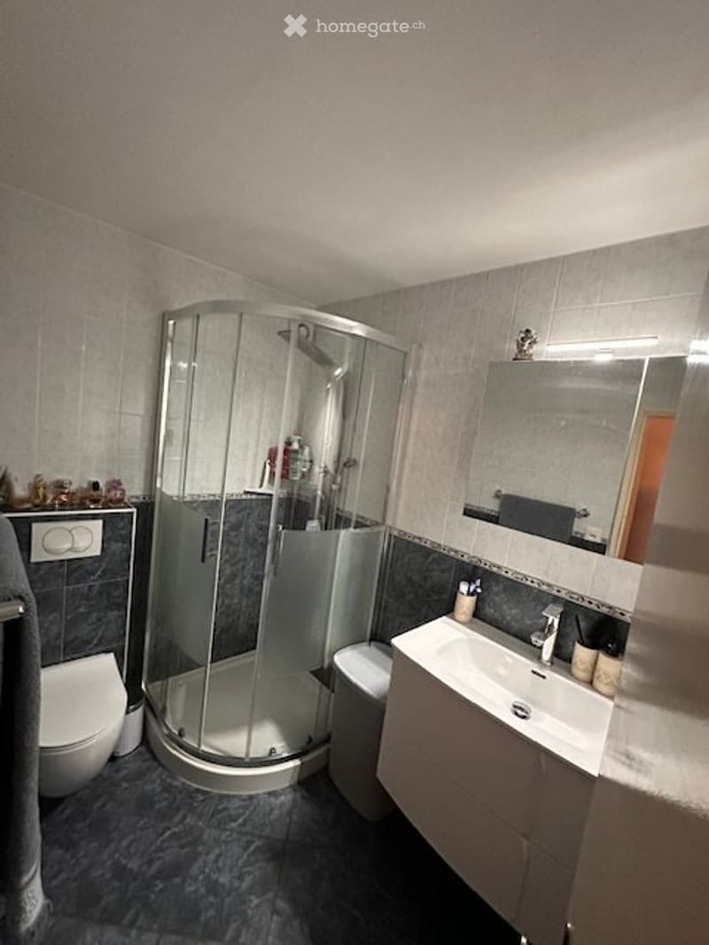 A vendre appartement rénové (5)