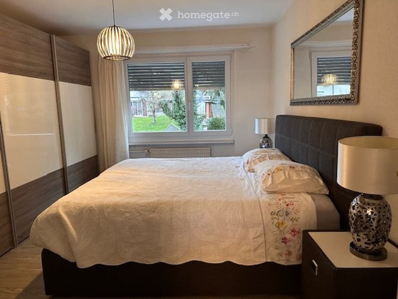 A vendre appartement rénové (3)