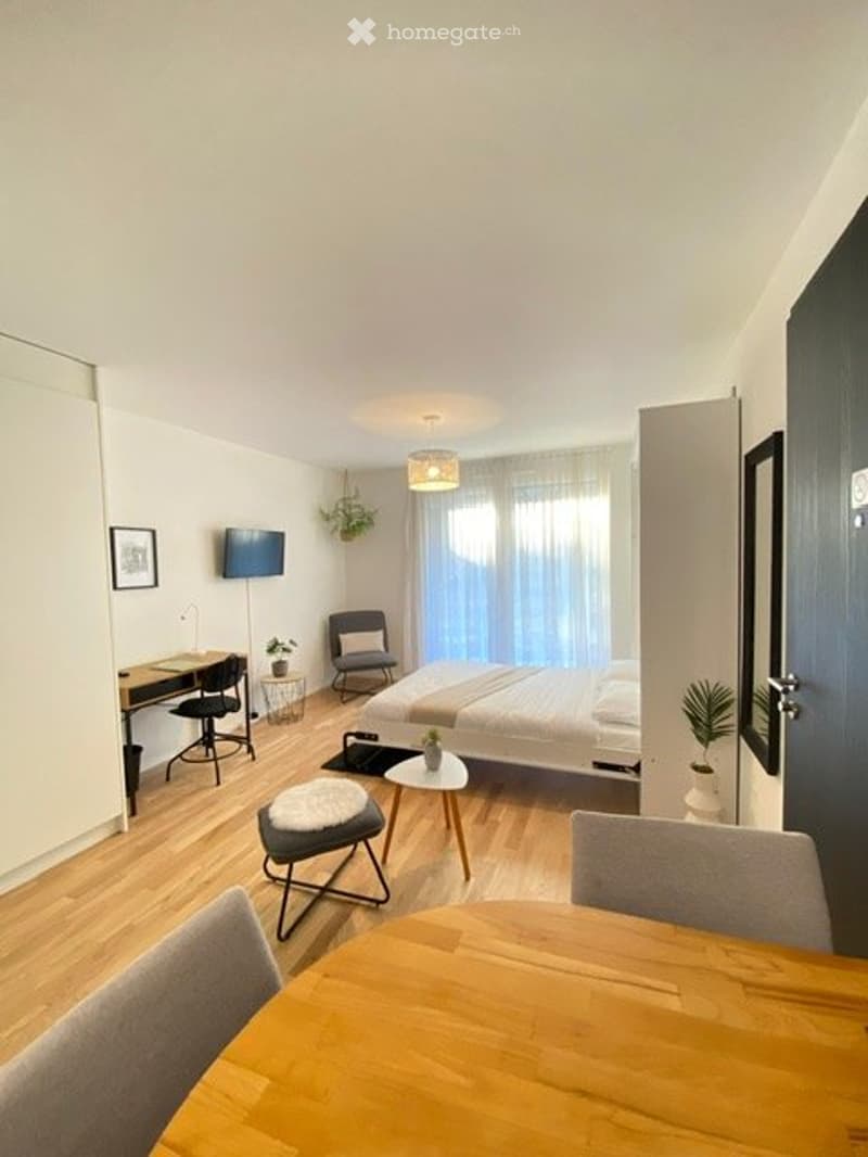 Superbe studio meublé (2)