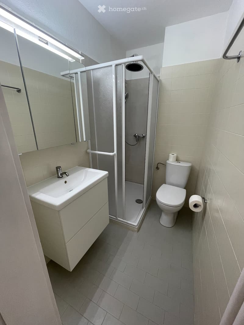 Appartement 2.5 p. entièrement rénové confortablement. (4)
