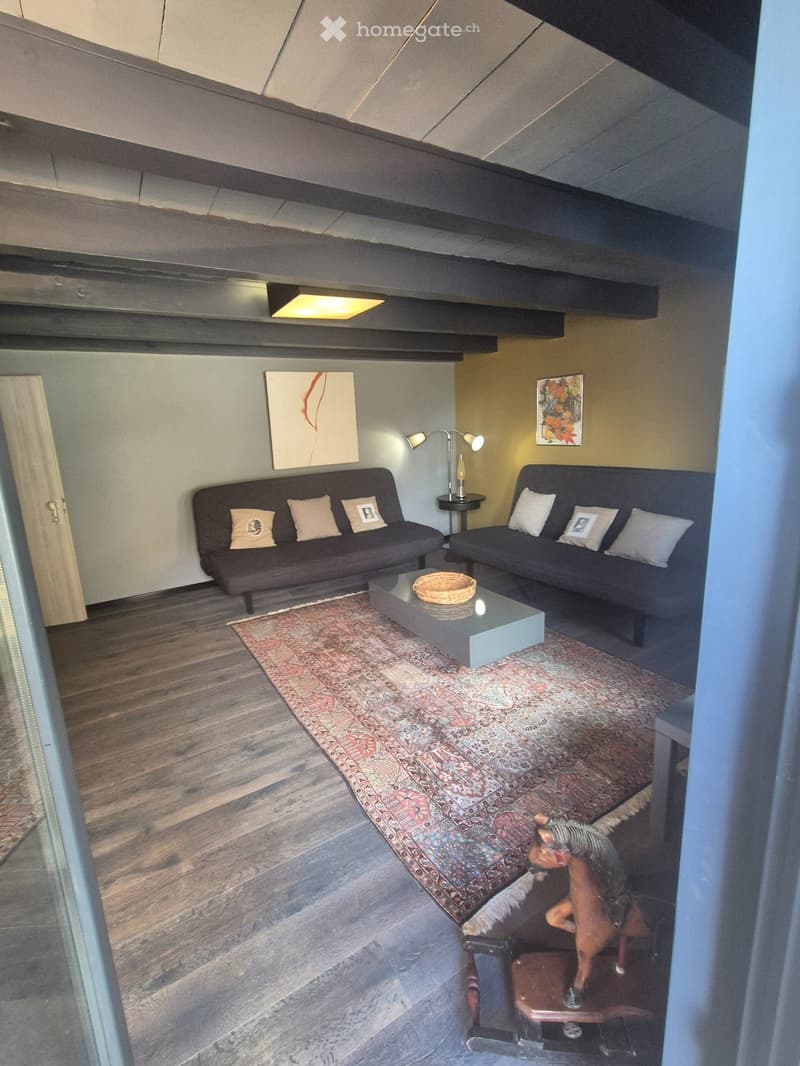 Appartement meublé ou non avec terrasse (4)