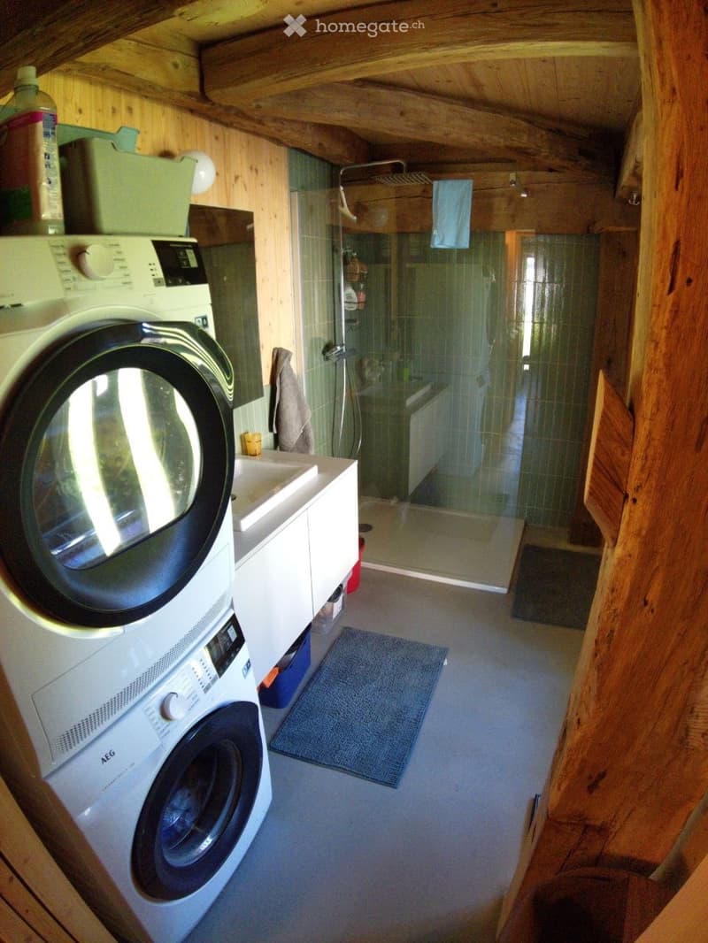 Appartement 3.5 pièces  spacieux, lumineux et moderne (5)