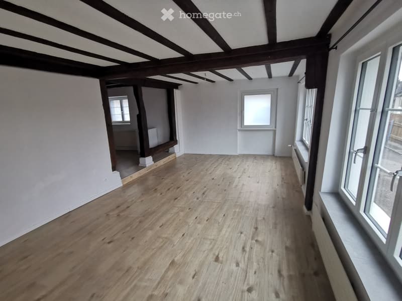 Appartement en propriété de 2 ½ pièces au rez-de-chaussée (4)