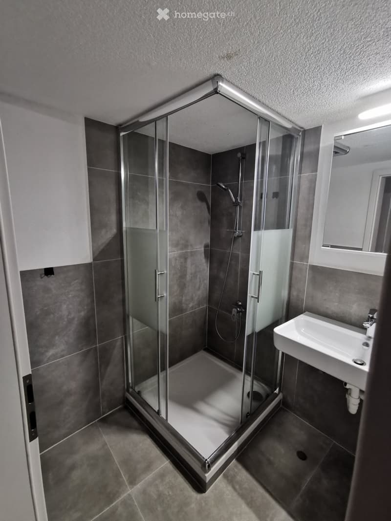 Appartement en propriété de 2 ½ pièces au rez-de-chaussée (3)