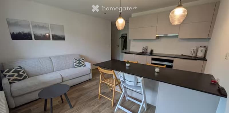 À l'année Appart. 2.5 pcs rénové, centre de Morgins, garage (2)