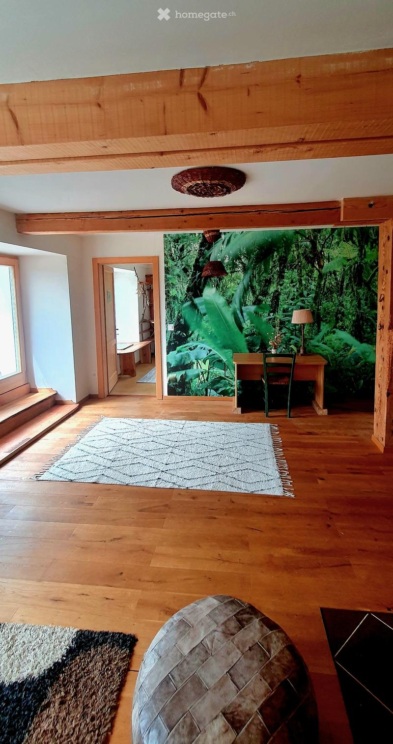 Appartement 4 1/2 p., grande terrasse dans une coopérative (5)
