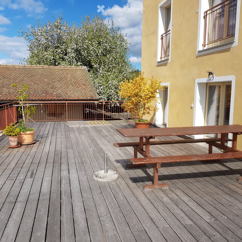 Appartement 4 1/2 p., grande terrasse dans une coopérative (2)