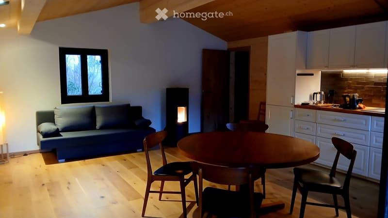 Appartement de vacances aux Paccots (2)