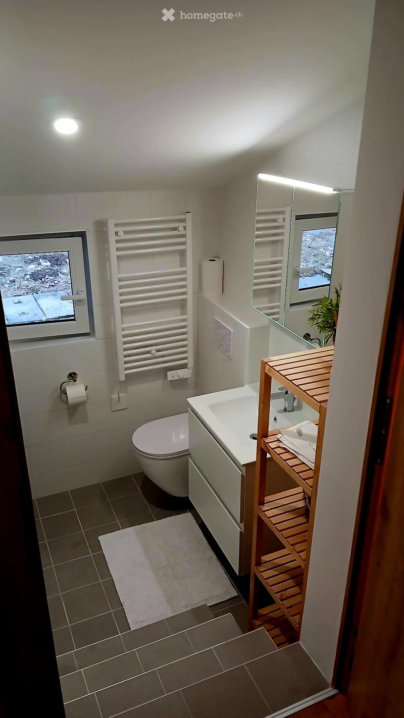 Appartement neuf dans chalet aux Paccots (4)