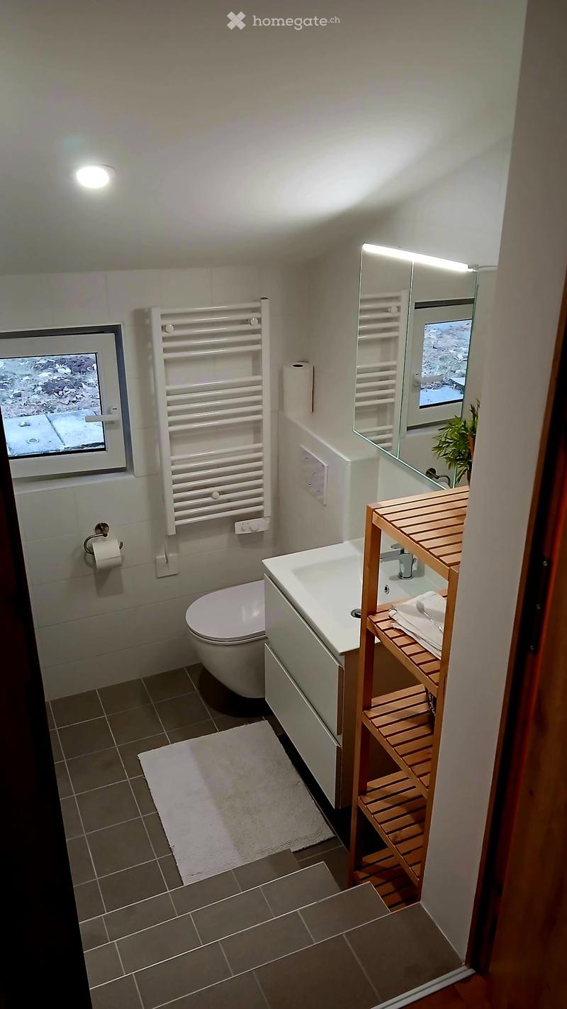 Appartement de vacances aux Paccots (4)