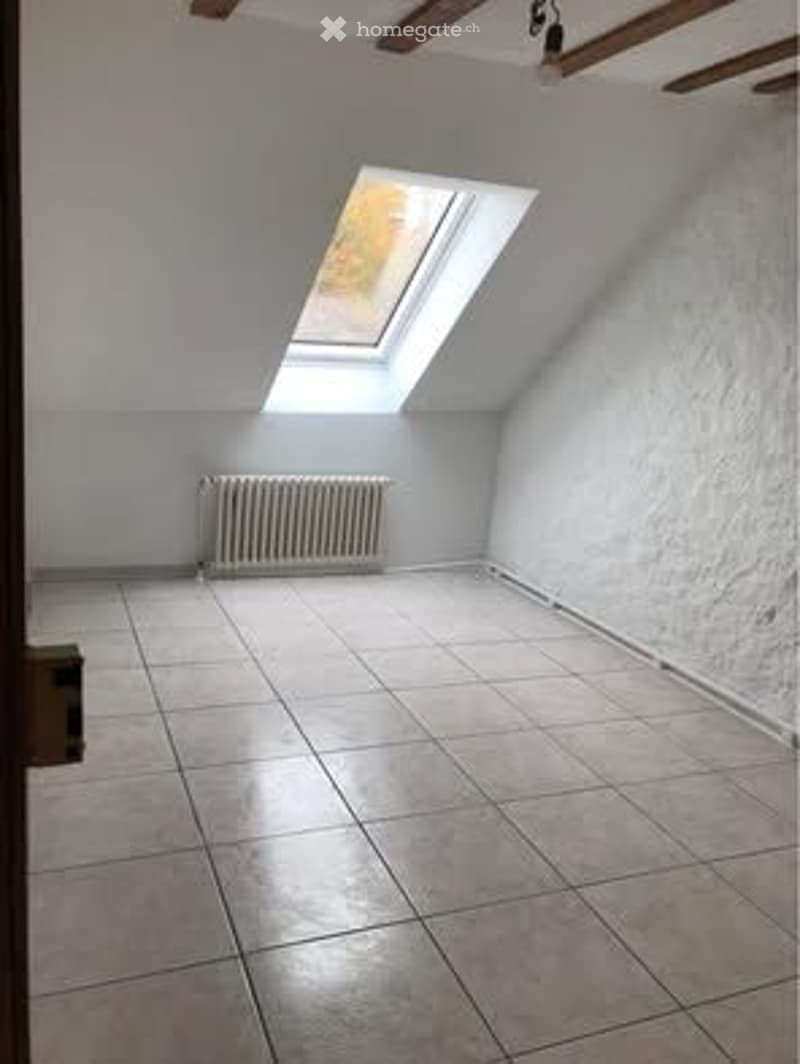 Appartement lumineux à louer (2)