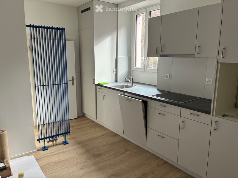 Magnifique appartement traversant à Monthey (2)