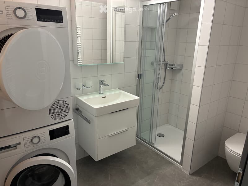 Magnifique appartement traversant à Monthey (4)