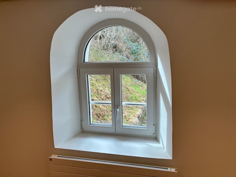Magnifique appartement traversant à Monthey (5)