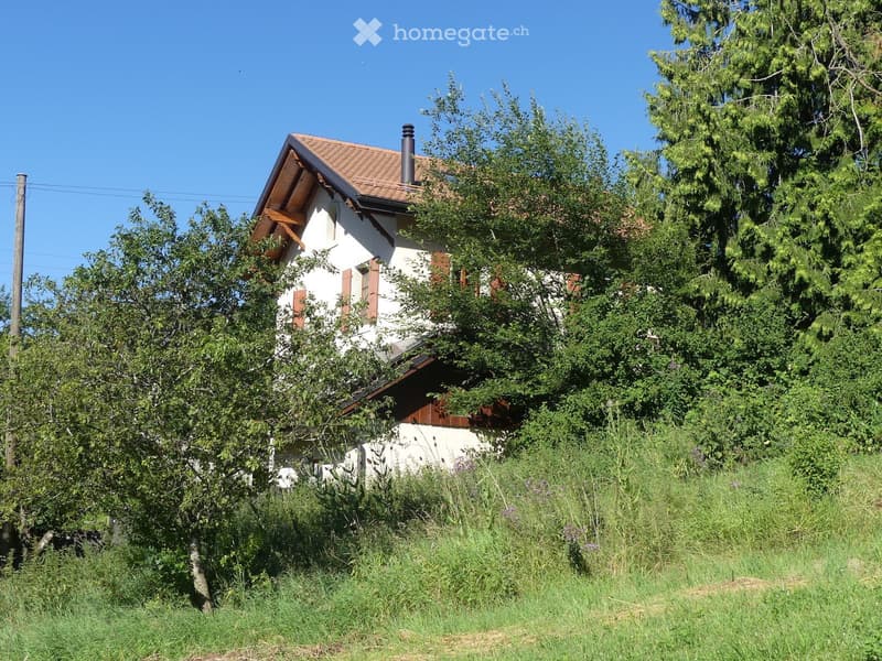 La petite chambre dans la prairie (5)