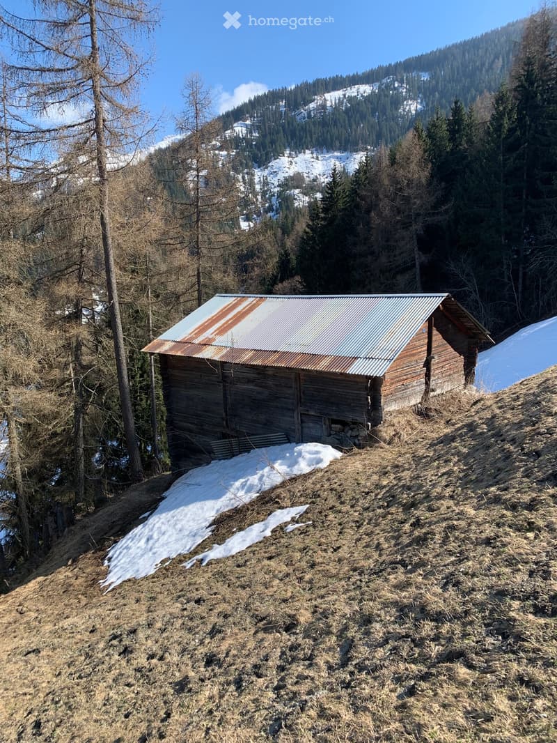 À vendre grange (3)