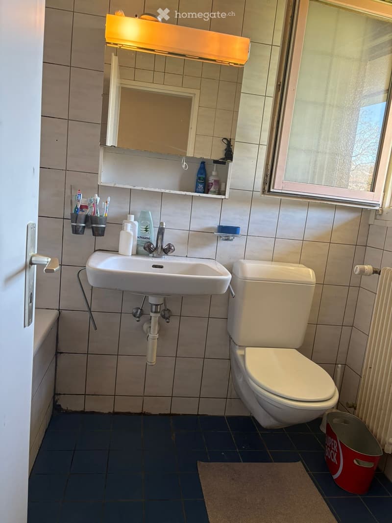 Bel appartement libre dès le 01.05.2026 (5)