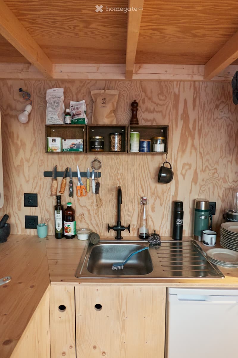 Tiny House (4)