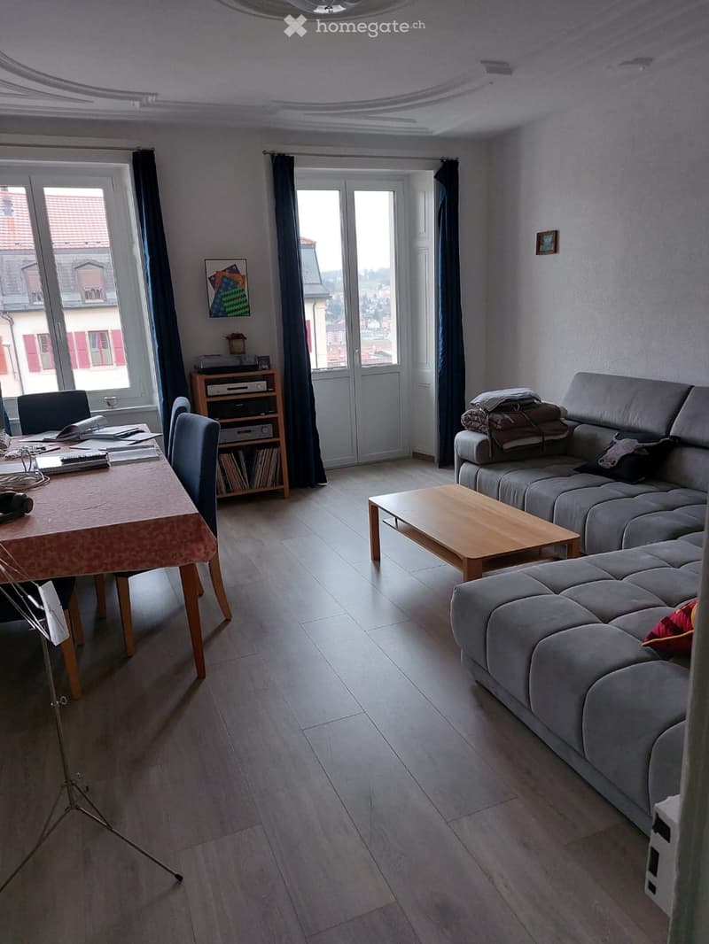 Magnifique appartement rénové (5)