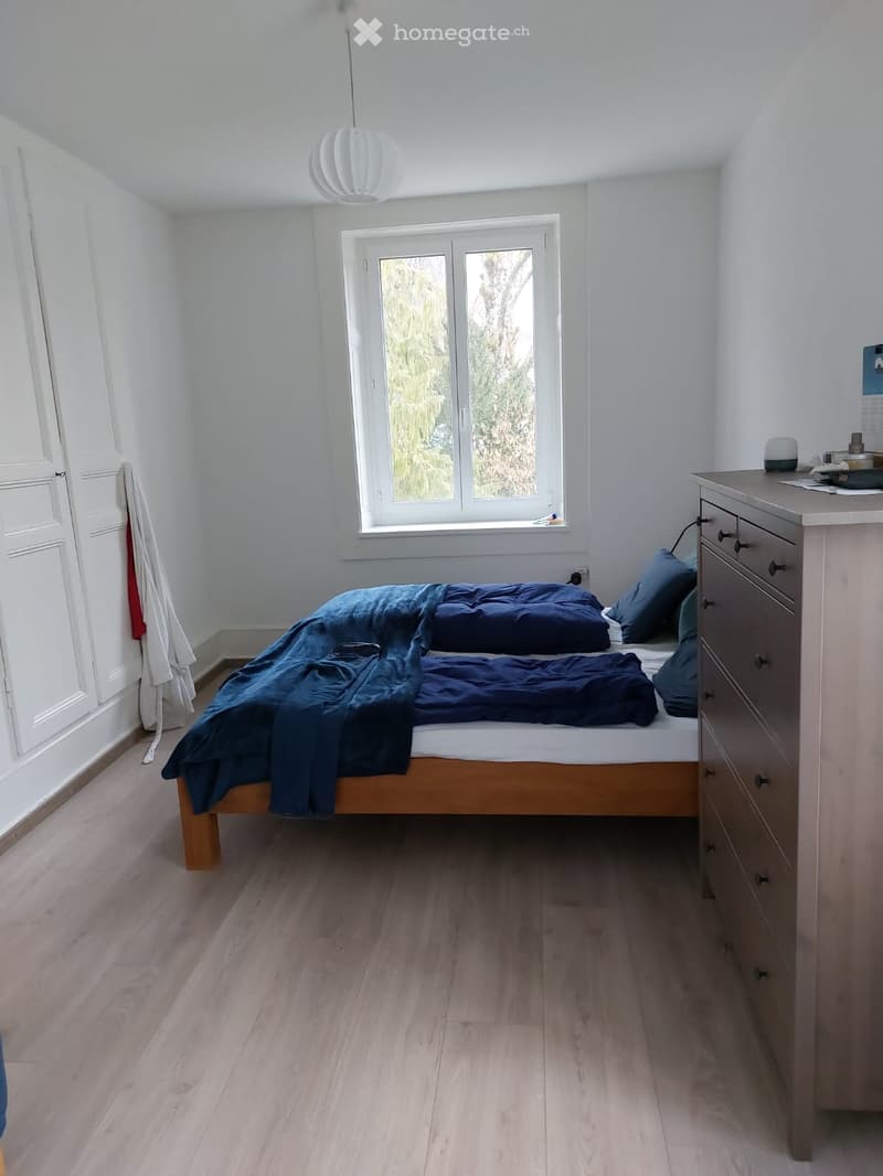 Magnifique appartement rénové (3)