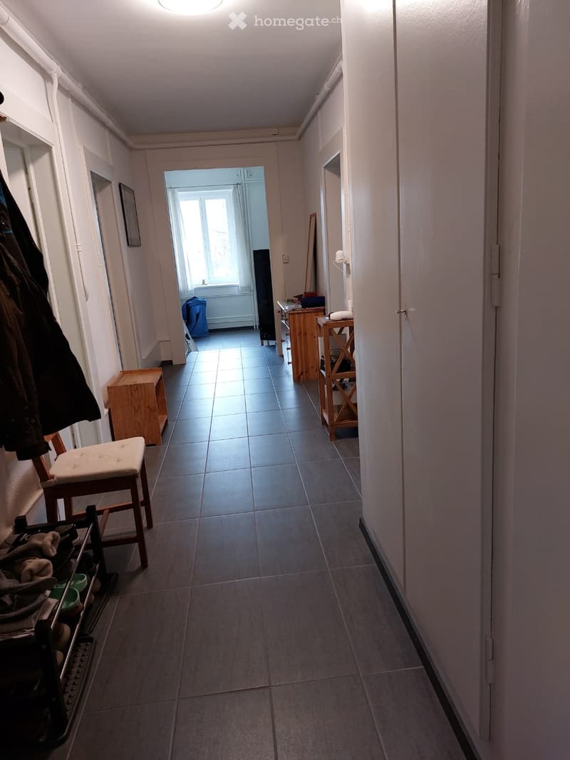 Magnifique appartement rénové (4)