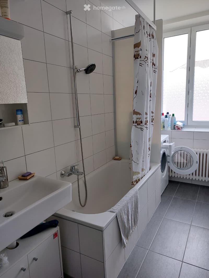 Magnifique appartement rénové (2)