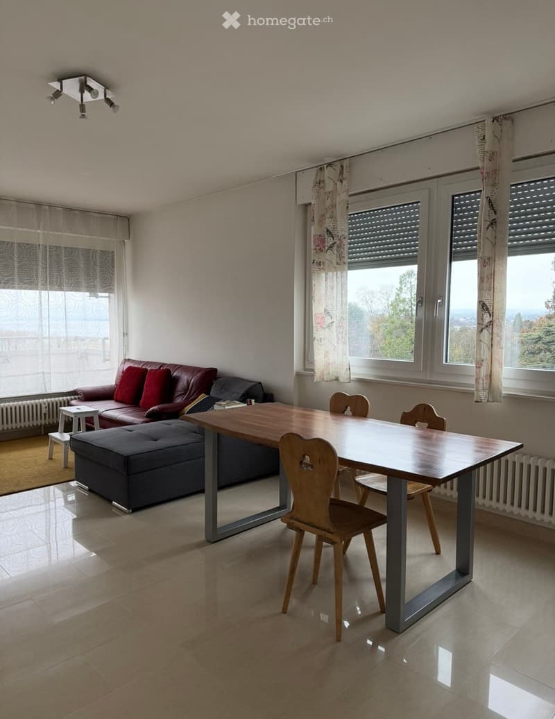 Appartement de 4.5 pièces lumineux avec vue sur le lac (2)