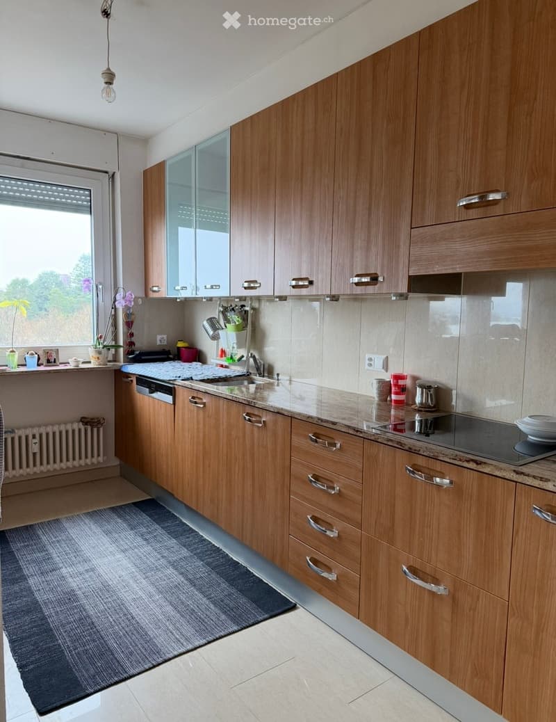 Appartement de 4.5 pièces lumineux avec vue sur le lac (3)